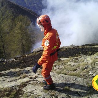 Regione, piano straordinario per il ripristino delle zone danneggiate dagli incendi boschivi