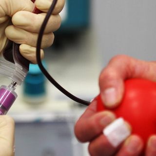 Sabato dalle 8 l'Avis di Bellinzago raccoglierà sangue per l'ospedale di Novara