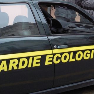 Bilancio positivo per le guardie ecologiche della Provincia