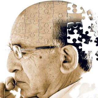 Sabato l'open day di Associazioni Malati Alzheimer Novara Onlus