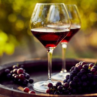 “Just Wine” a Novara, nella serata di giovedì 11 luglio in Piazza delle Erbe