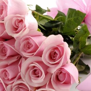 Festa della Mamma: donate i fiori artificiali anche non più utilizzati