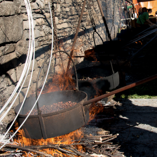 Domenica 6 a Massino Visconti  grande castagnata