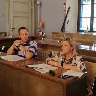 Progetto contrasto alle zanzare 2019: gestione tecnica e amministrativa affidata a ipla