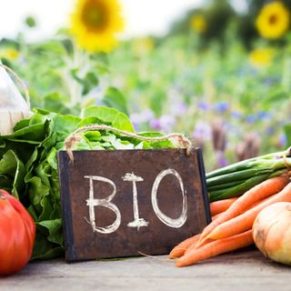 Fiera Biobene: Confartigianato Benessere presente