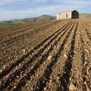 Tavolo irriguo del Piemonte, 55 milioni di aiuti ai Consorzi di bonifica e alle aziende agricole