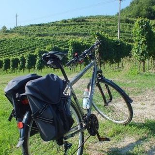 A Tornaco &quot;Pedalar mangiando 2019&quot;