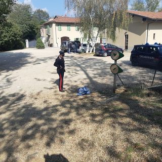 Notizie dal Piemonte. Ha ricominciato a respirare da sola la bimba travolta a Chieri da suv