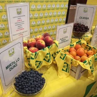 Campagna frutticola tra luci e ombre. Confagricoltura Piemonte: “Dobbiamo lavorare facendo sistema”