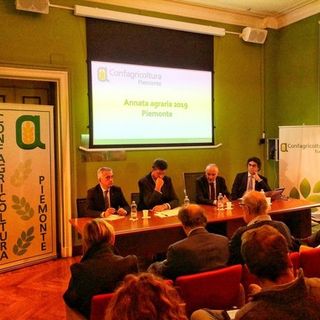 Produzioni scarse ma di qualità: Confagricoltura tira le somme dell'annata agraria