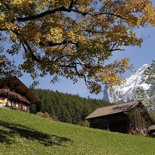 Agosto negli agriturismi, crescita delle presenze del 3%