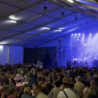 Al via stasera la Festa dell’uva fragola a Suno