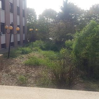 Campionato italiano giovani a squadre miste di scherma: la pro novara offre un’importante occasione alla citta’