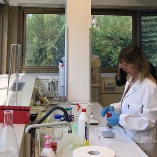 Allergie e intolleranze alimentari: l’istituto Zooprofilattico di Torino diventa centro di riferimento nazionale