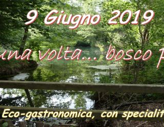 C'era una volta...un bosco pulito: passeggiata eco-grastronomica a Oleggio