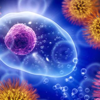 A Novara un progetto di ricerca senza precedenti sulle malattie autoimmuni