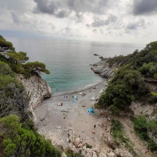 Anche un 17enne novarese coinvolto nel drammatico 'lancio' di un cassonetto a Bergeggi