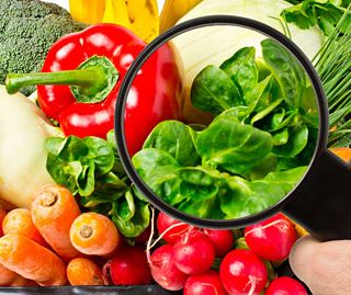 'Il controllo ufficiale della sicurezza alimentare'. Martedì 11 giugno l’ASL presenta alle imprese il piano integrato per l’anno 2019 nella sede di Vercelli di Confindustria Novara Vercelli Valsesia