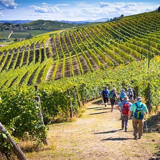 Dalla Regione 9,2 milioni per la promozione dei vini piemontesi nei paesi terzi