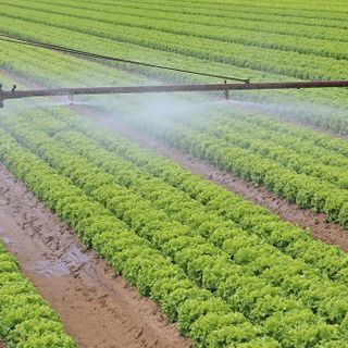 Coldiretti, pozzi irrigui: servono proroga per il ricondizionamento e risorse economiche