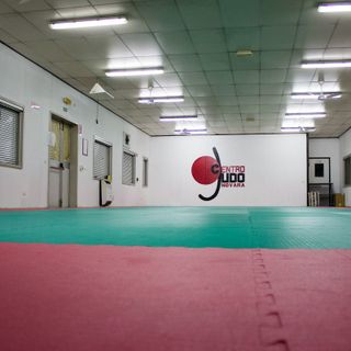 Novara, ripartono i corsi del Centro Judo Asd