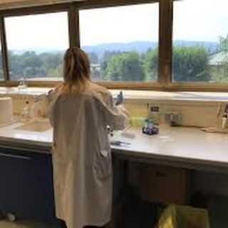 Coronavirus, l'Istituto Zooprofilattico avvia l'analisi dei tamponi