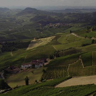 Quali sono i vini delle Langhe più richiesti online