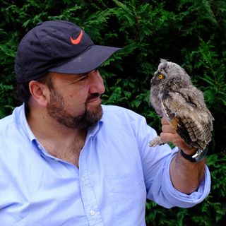 Sabato 22 ad Arona una ‘ Notte da Gufi’