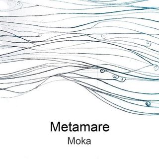 A Lesa sarà presentato ‘Metamare’ di Moka