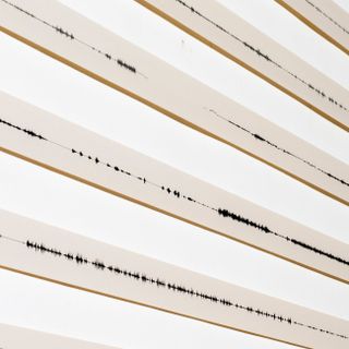 Allo Spazio Nòva l’installazione ‘Moti Umani' di Marzio Zorio