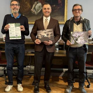 &quot;Una Rinascita nel Bosco&quot;: al Museo Faraggiana Ferrandi la mostra di Luca Tresoldi