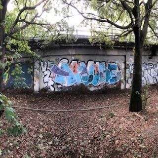 &quot;Muri liberi&quot; per i murales a Novara