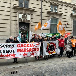 “Basta regali ai cacciatori”: rivolta ambientalista contro la caccia a due specie in via d’estinzione. FOTO E VIDEO