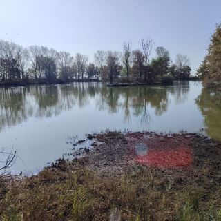 Casalbeltrame, porte aperte alla Palude per la stazione di inanellamento