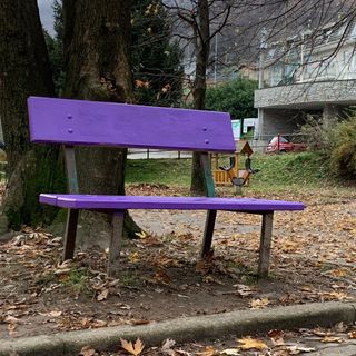 Sarà inaugurata a Prato Sesia la panchina viola della gentilezza