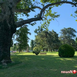 Tutti in bicicletta il 2 giugno per la caccia all'albero