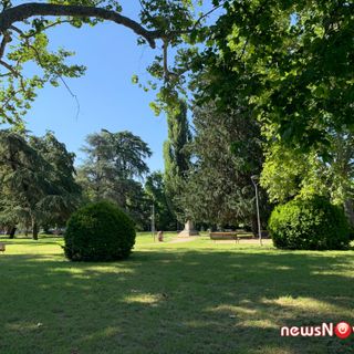 Ecco gli eventi per la Giornata Mondiale dell'Ambiente a Novara