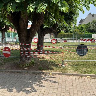 Recintata una porzione del Parco di Cerano