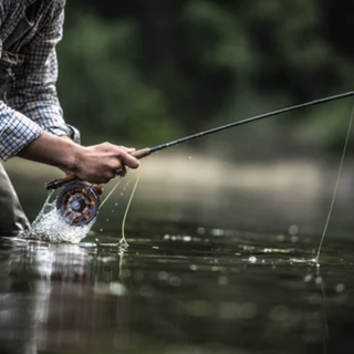 Aree protette Ticino e Lago Maggiore, disponibili 28 permessi di pesca