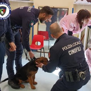 ‍Laboratori sulla sicurezza stradale con la polizia locale per i bambini della scuola dell’infanzia “Garzoli”
