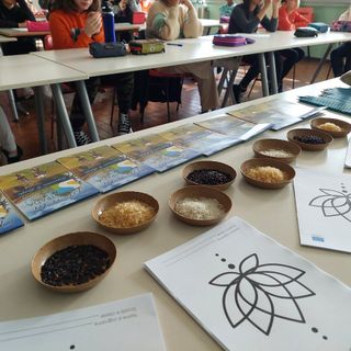 Riso a scuola, dal sapere al sapore