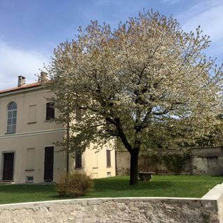 A Gozzano il convegno diocesano di pastorale familiare