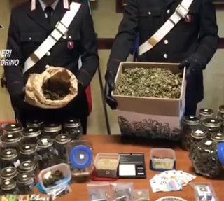 Notizie dal Piemonte. Vigone, la famiglia coltiva droga e il figlio minorenne fa il “fattorino” in bicicletta