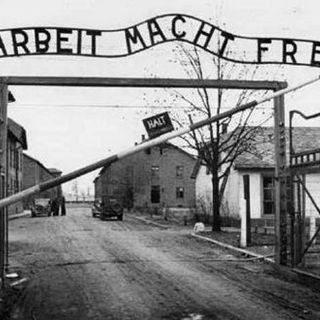 Giorno della Memoria, l'Amministrazione trecatese invita alla riflessione