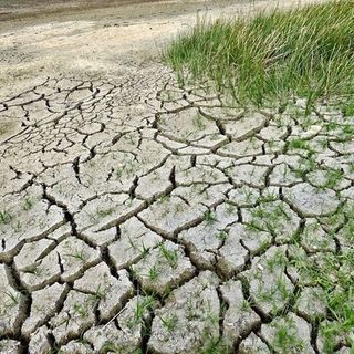 Coldiretti Piemonte lancia l'allarme: &quot;I cambiamenti climatici mettono a rischio produzione e occupazione&quot;