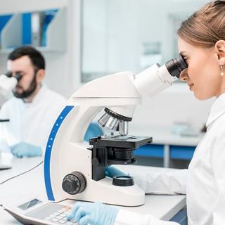 Eccellenza in medicina e chirurgia: i successi dell’Upo confermati dai dati Anvur