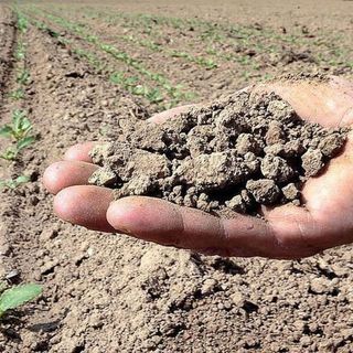 Siccità, est sesia: cauto ottimismo per la prossima stagione irrigua