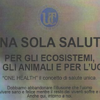 Il convegno &quot;Una sola salute&quot; per esplorare legami tra ecosistemi, animali e umanità