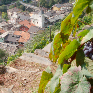 Bando Piccoli Comuni, Anci Piemonte: &quot;La mancanza di risorse penalizza gli enti&quot;