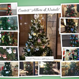 Trecate: domenica 19 gennaio la premiazione del contest “Alberi di Natale”.